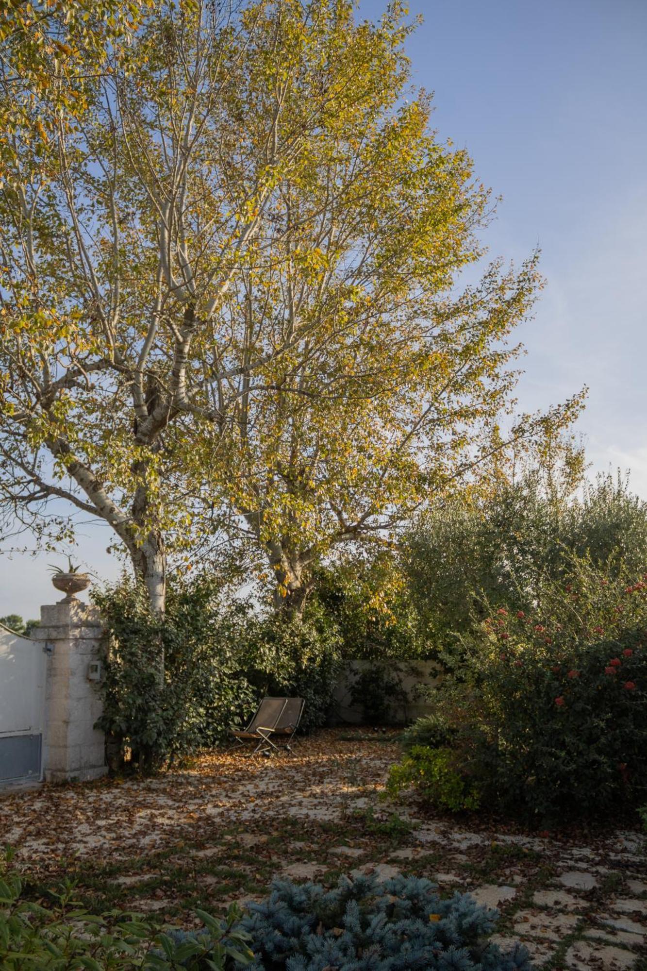 Villa Ada-Trulli Puglia Martina Franca Zewnętrze zdjęcie
