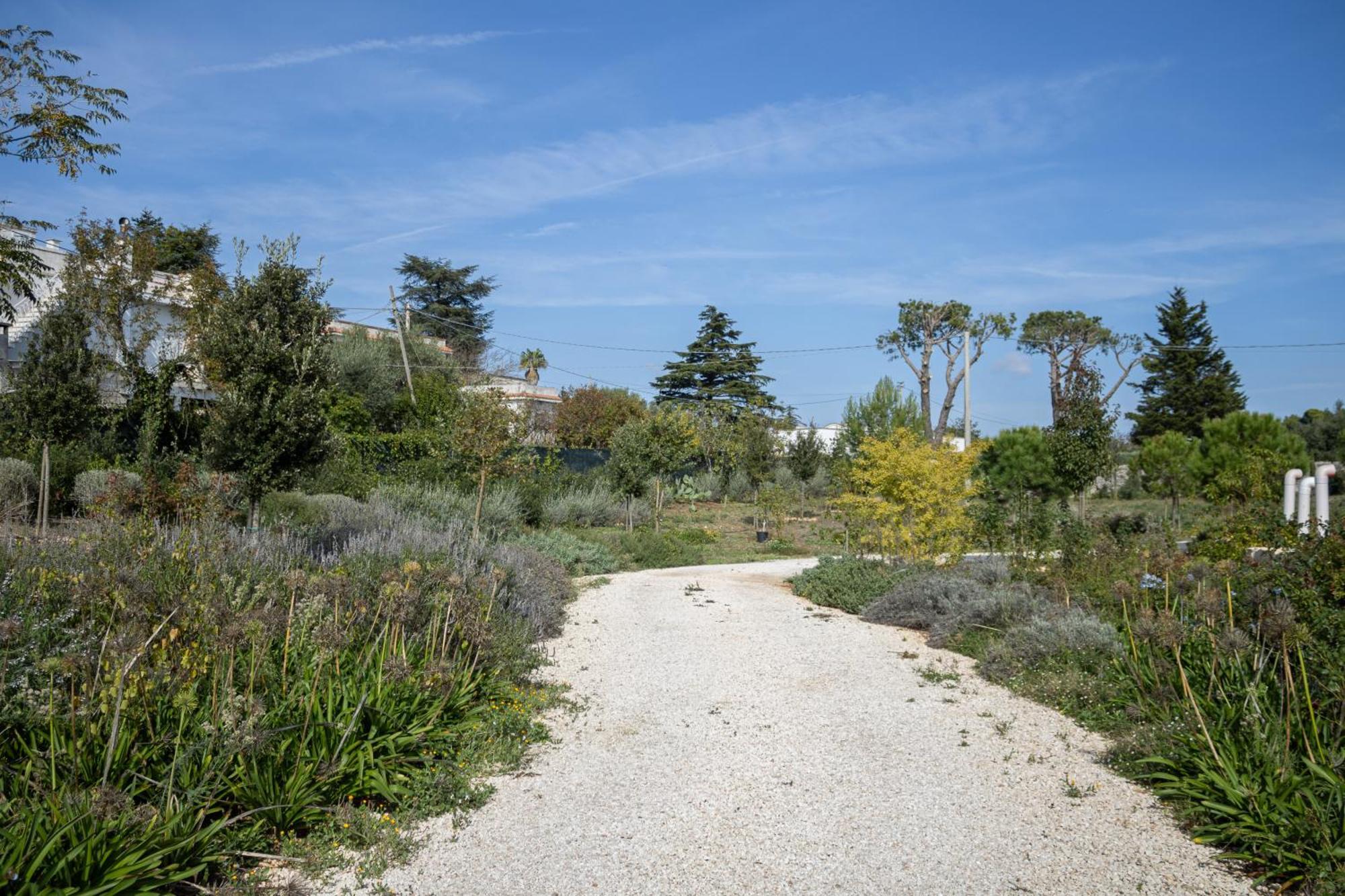 Villa Ada-Trulli Puglia Martina Franca Zewnętrze zdjęcie
